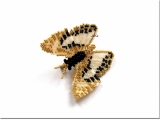 Broszka motyl z koralików Toho. 