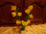 Moje roże