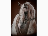 obraz ( portret konia)